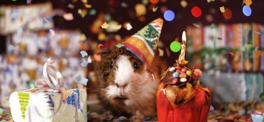 Test - produktový text 2